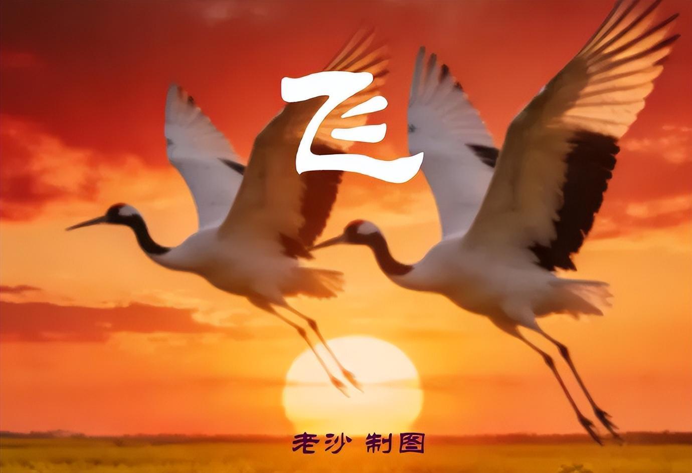 易倍体育官方网站-4.28股市早8点丨英伟达疯了谷歌飙了